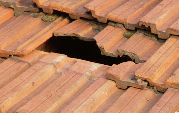 roof repair Lower Marsh, Somerset